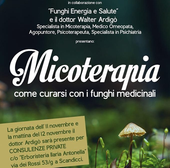 MICOTERAPIA, come curarsi con i funghi medicinali