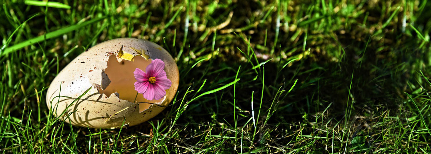 Buona pasqua 2023 Affratellamento SLIDE