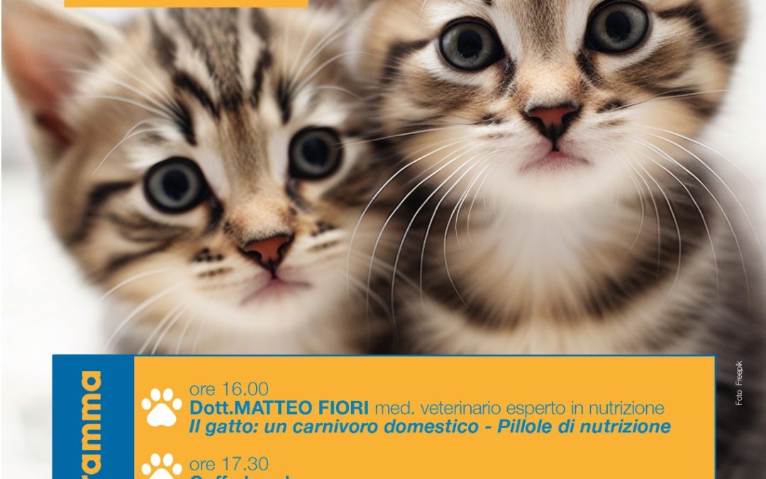 GATTINI. Tutto quello che c’è da sapere…