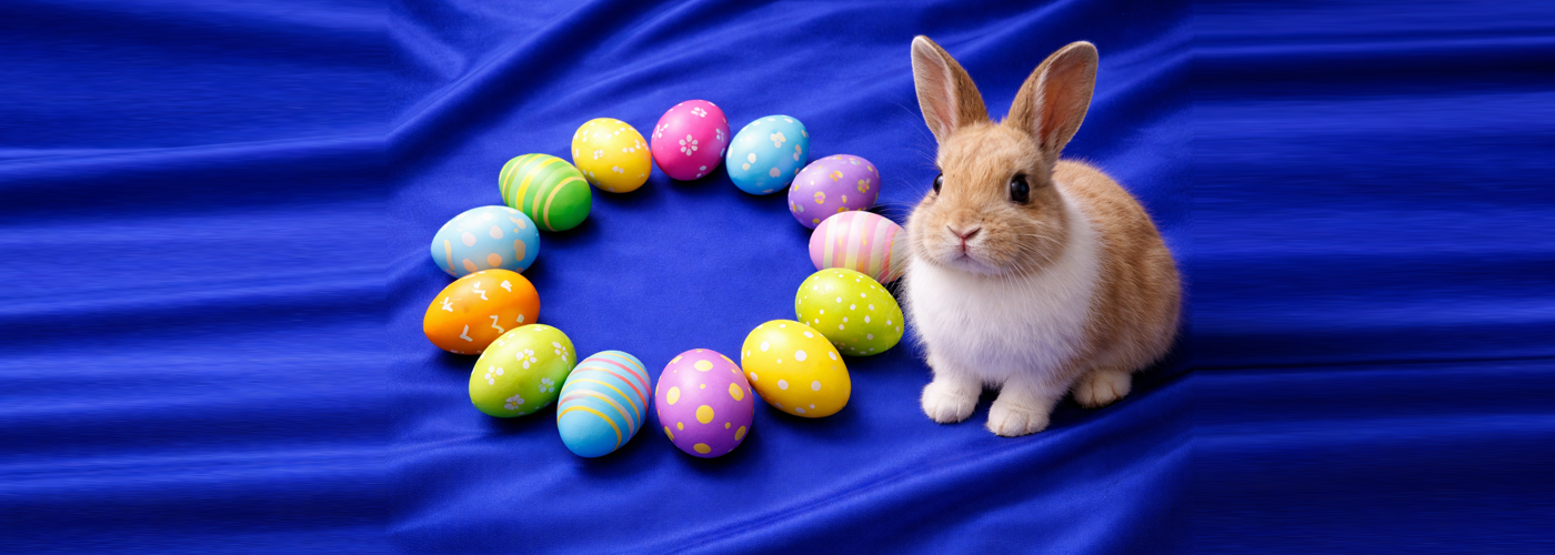 Pasqua 2026 EU coniglietto SLIDE 2